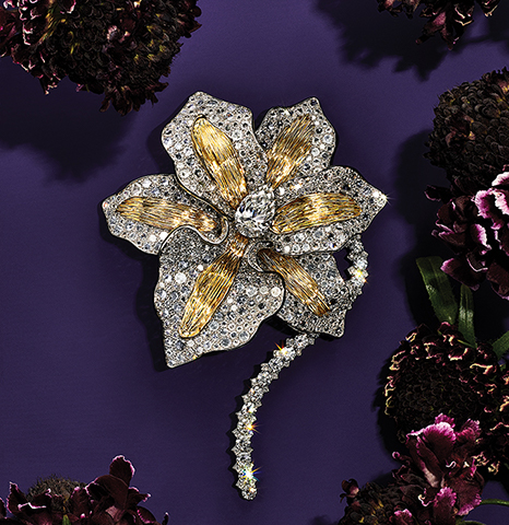 Tiffany & Co.: Tiffany & Co. Presents Its New BOTANICA Blue Book Fall 2022:  Wisteria - Luxferity